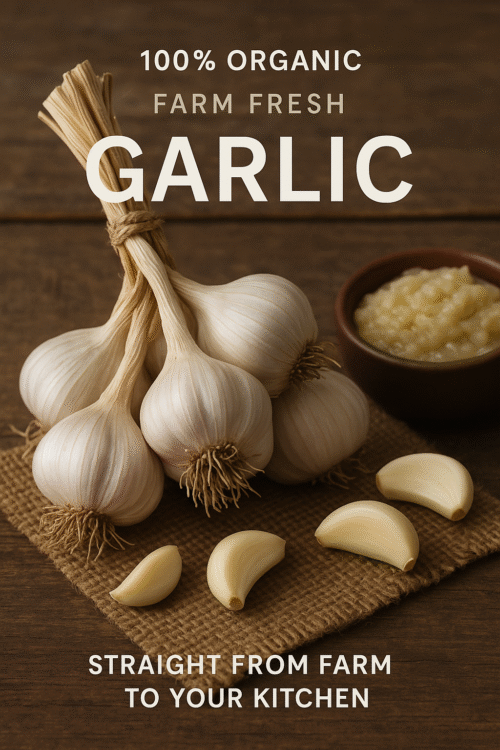 Farm Fresh Organic Garlic (लेहसुन)